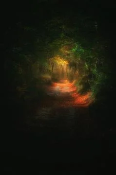 Path in dark forest with light at the end Stock Photos
