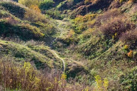 Path in a deep ravine fall Stock Photos