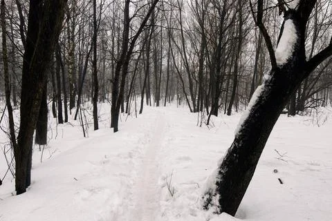 Path in deep snow in the park Stock Photos