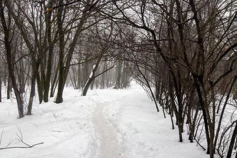 Path in deep snow in the park Stock Photos