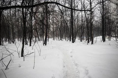 Path in deep snow in the park Stock-Fotos