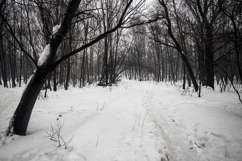 Path in deep snow in the park Stock Photos