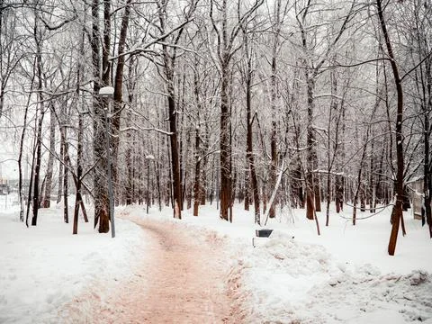 Path in deep snow in the park Stock Photos