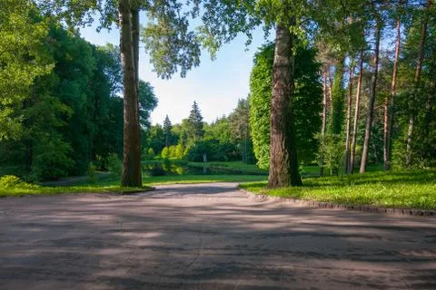A path in a dense forest leading to a blue lake against a cloudless sky. A pl Stock Photos