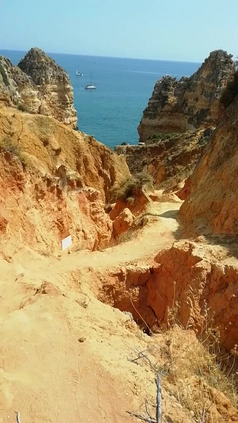 Path down to beautiful beach 動画素材 132430804