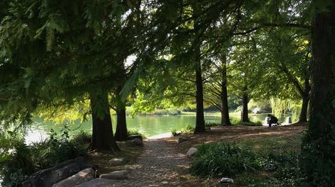 Path down to the lake 库存照片