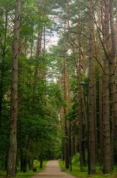 Path down the park Stock Photos