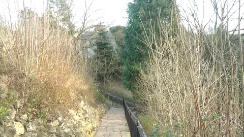 Path down Valley Garden Steps 動画素材 104350132