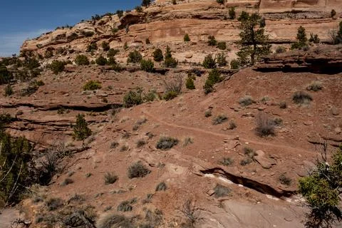 Path Drops Into The Canyon On Neck Spring Trail 写真素材