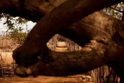 Path of drought Fotos de archivo