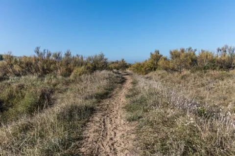 Path on the dunes of Les Sables d'Olonne, France Stock Photos
