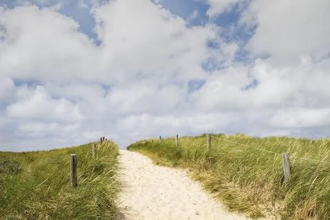 Path in the dunes Stock Photos