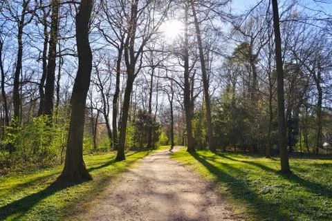 Path in early Spring, Park Schonbusch, Aschaffenburg, Spessart, Bavaria, Germany Stock Photos