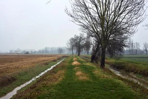 Path by the edge of a field next to a row of bare trees and a stream of wat.. Stock Photos