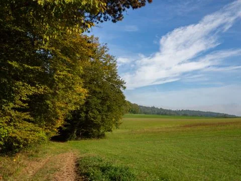 Path on the edge of the forest next to fields on an autumn day Stock Photos
