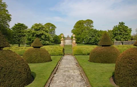 A path edged with with rounded topiary bushes with a conical top leads up to Foto stock