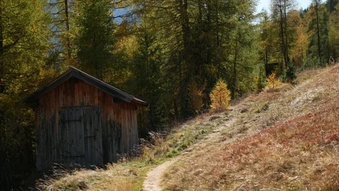 A path in Elfer, Stubaital, Tyrol Video stock 99553061