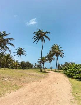 Path to the Escambron beach Stock Photos