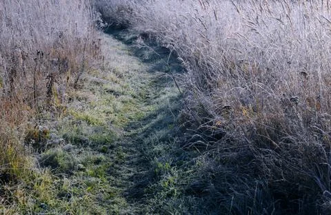 Path in the field in the late fall Stock Photos