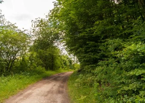 Path at the fields and forest of Goettingen Stock Photos