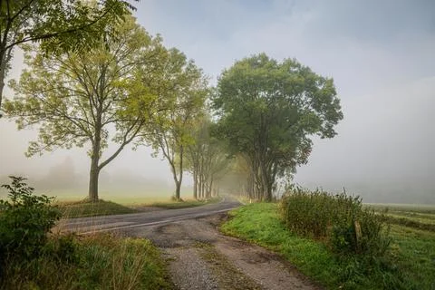 A path in the fog Stock Photos