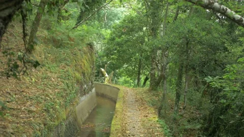 A path following the levada or irrigation channel Stock Footage 170459819