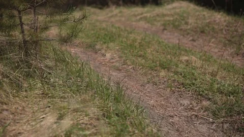 On the path. 動画素材 75752005