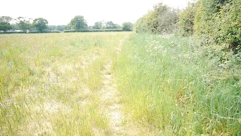 Path Stock Footage 112699305