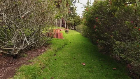  Path Stock Footage 154378062