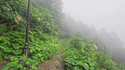 A path that is on. Stock Footage 282798425