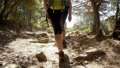 The path Stock Footage 318953174