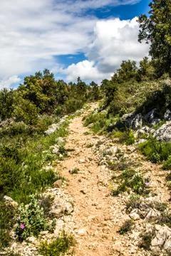 Path into the foothills of the Alps Stock Photos