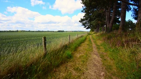 Path Footpath Track through Farmland Rural Countryside England UK Stock Footage