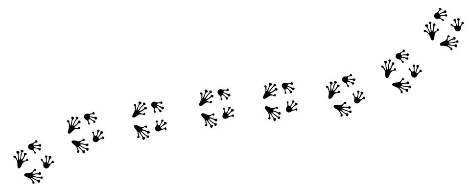 Path footprints of Frog or Toad. Tracks of paw prints. Silhouette. Vector Stock Illustration
