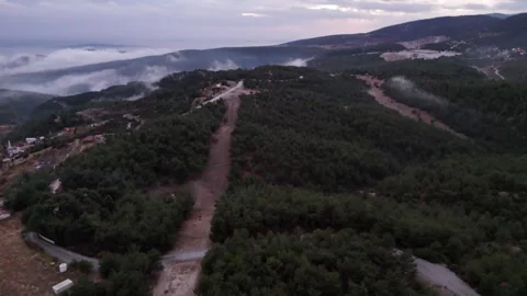 Path in the Forest after Rain (Aerial View) Stock Footage 300699111