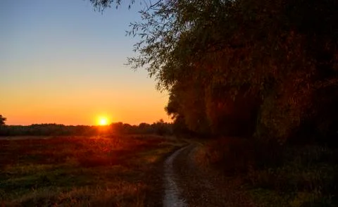 Path in the forest in autumn Stock Photos