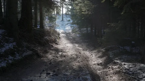 Path in the forest. Beautiful sunny winter day. Stock Footage 127864102