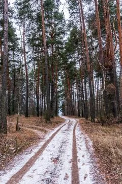 Path in the forest at the beginning of winter. The first snow on the road in  Foto stock