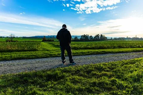 Path in the forest between trees during autumn Stock Photos