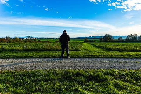 Path in the forest between trees during autumn Stock Photos