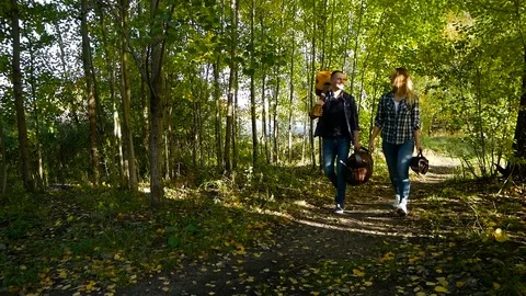 Path in a forest. Couple walking for a picnic Stock Footage 81768208