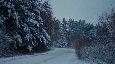 The path in the forest is covered with snow Stock Footage 259753457