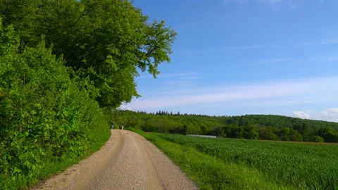 A path to the forest Stock-Footage 156552771