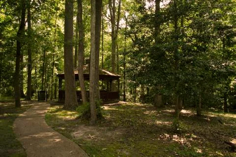Path to a Forest Gazebo Foto stock