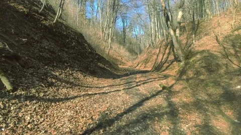 Path in a forest gorge in the early spring Stock Footage 171871011