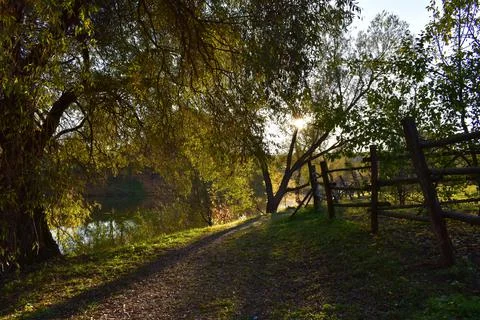 Path in the forest by the lake Foto stock