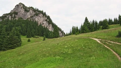 Path in the forest leads to Maly Rozsutec and Velky Rozsutec mountains Stock Footage 146432464
