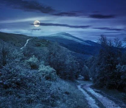 Path to forest in mountains at night Stock-Fotos