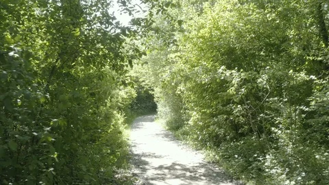 Path in the forest park 3 (Parc Galamé, France) d-log Stock Footage 116173428