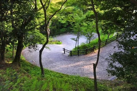 Path in a forest Stock Photos